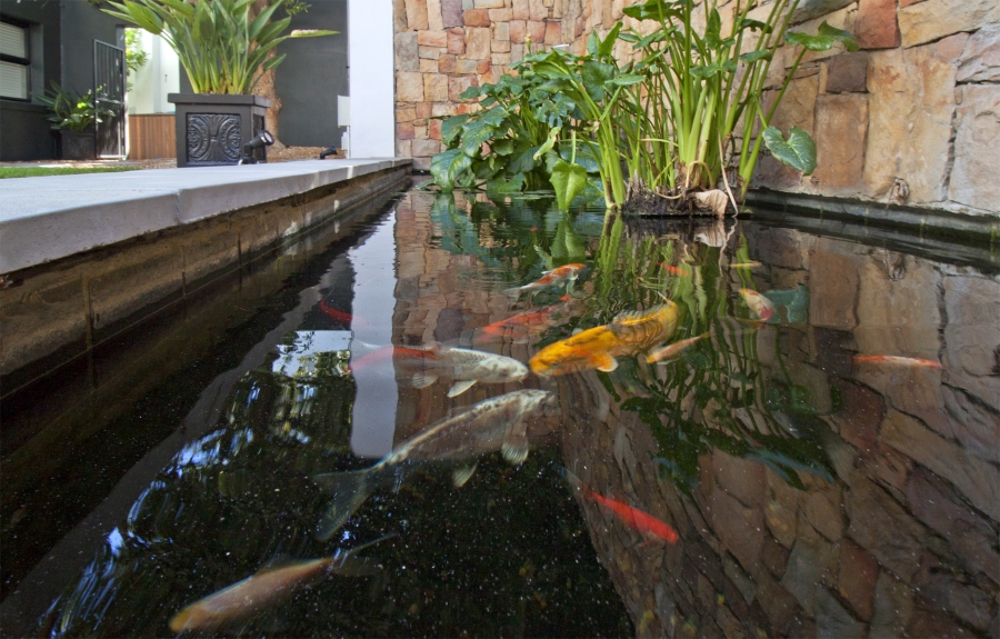 To Let 1 Bedroom Property for Rent in San Michel Western Cape